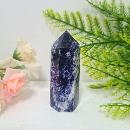 Sodalite Gemstone Point