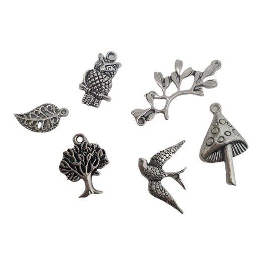 6pc Silver Nature Charms