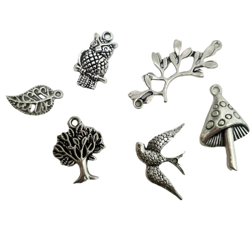 6pc Silver Nature Charms