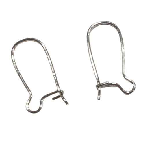 20pc Stainless Steel Kidney Ear Wires