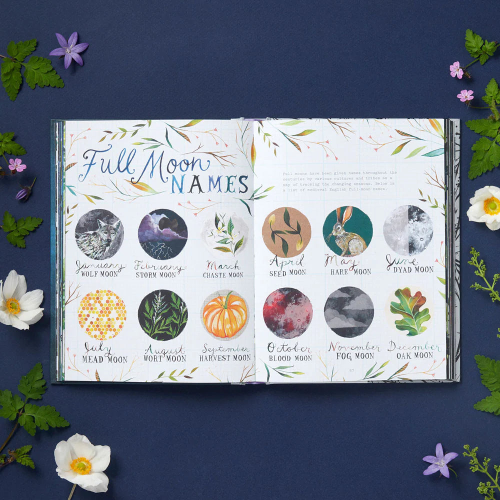 How To Be A Moonflower - a field guide