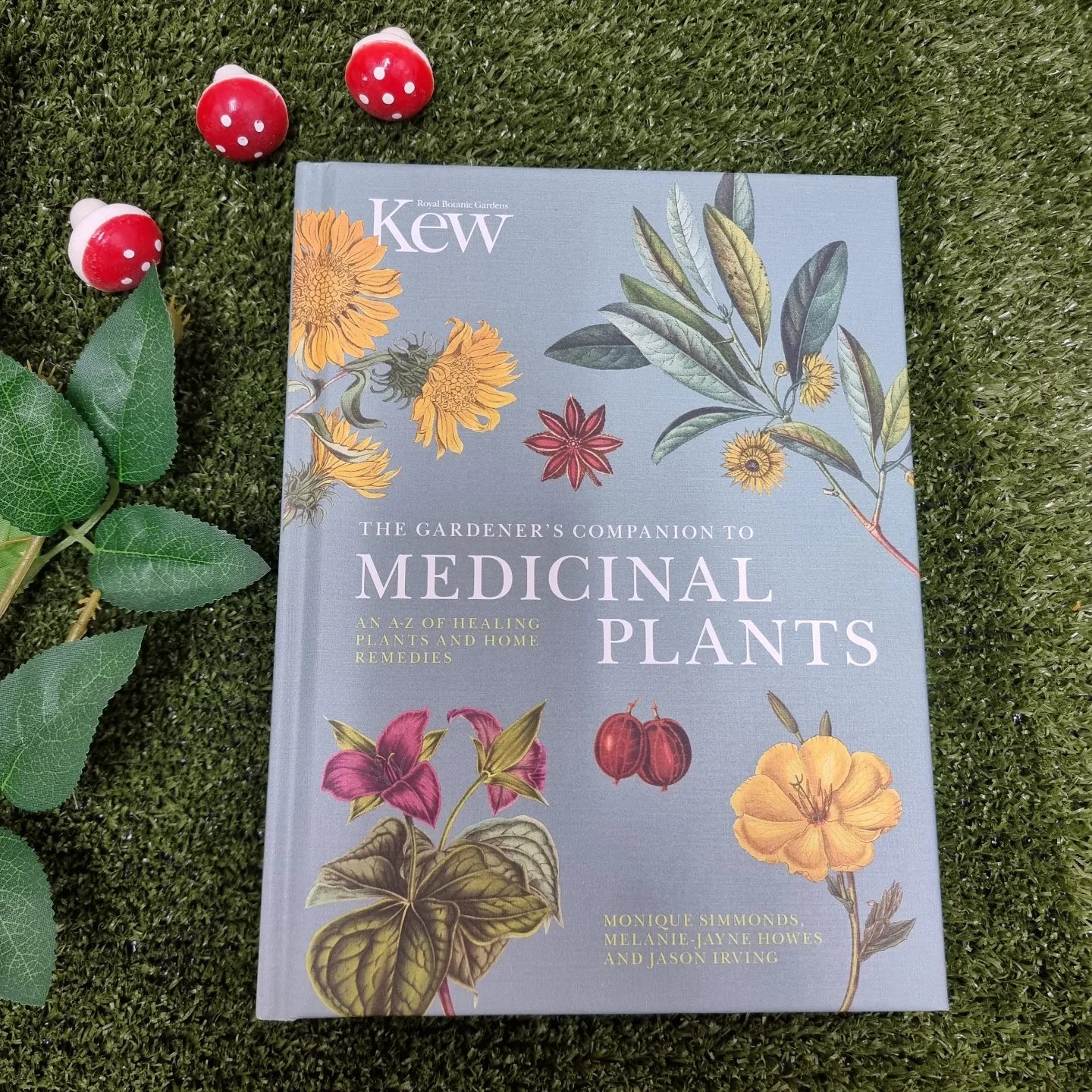 The Gardener's Companion To Medicinal Plants