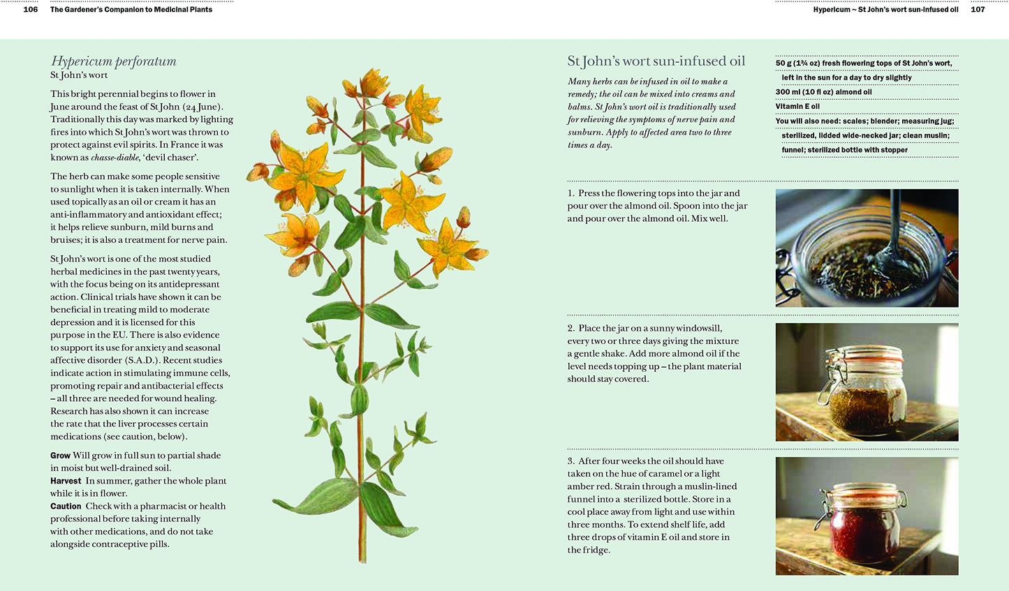 The Gardener's Companion To Medicinal Plants